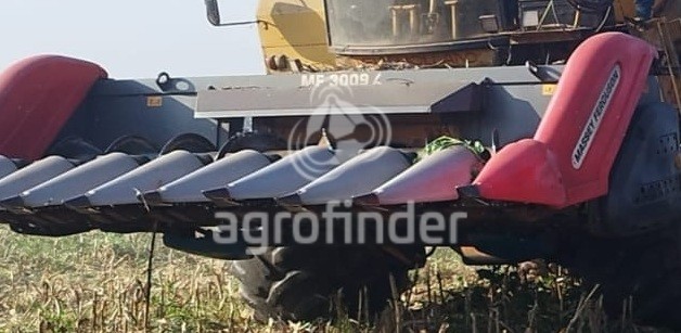Plataforma de Milho Massey Ferguson MF 3009 L 
 Ano 2015
