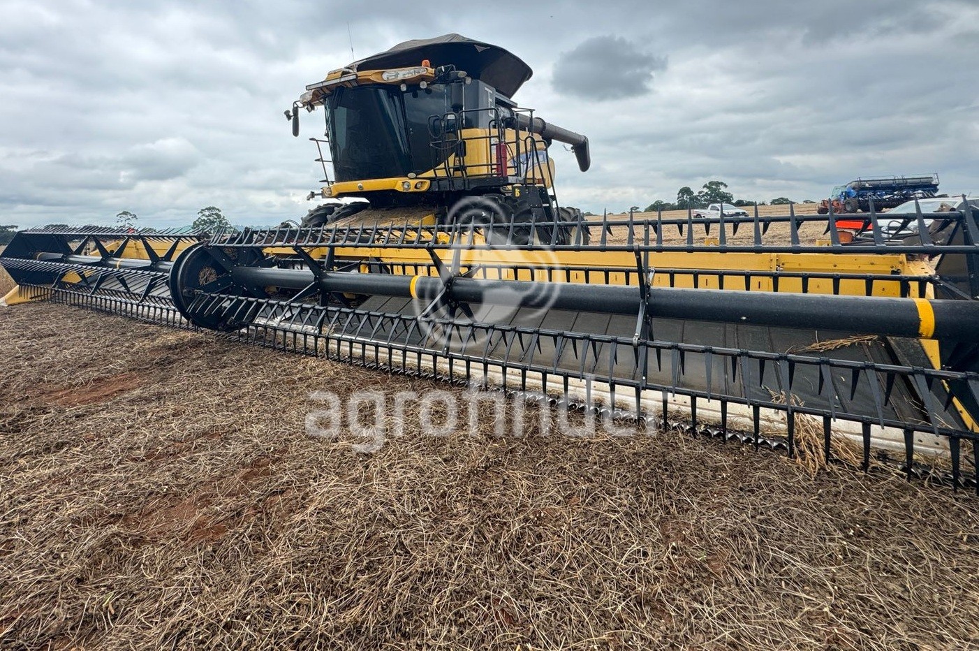 Colheitadeira de grão New Holland CR 8090
Ano 2016