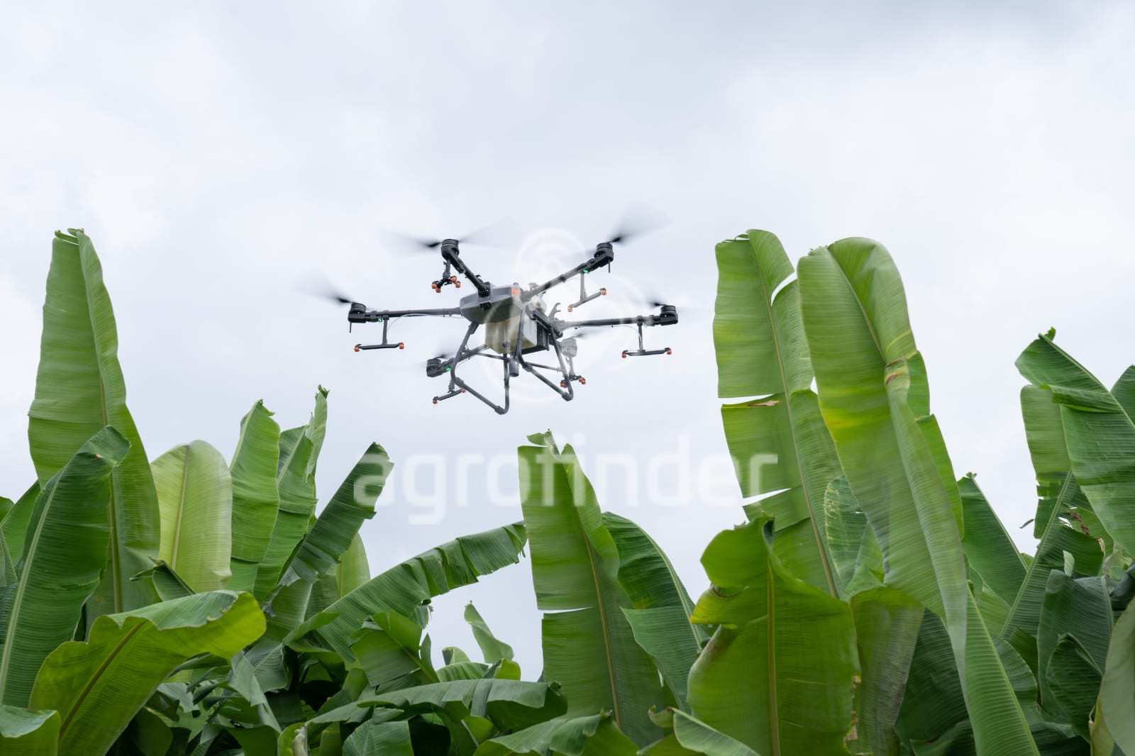 Drone DJI T30 
 Ano 2025