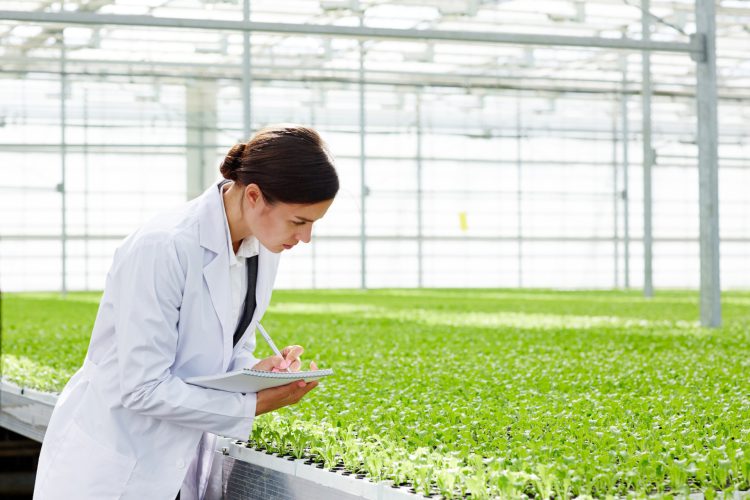 O papel dos insumos biológicos na agricultura modernaO papel dos insumos biológicos na agricultura moderna