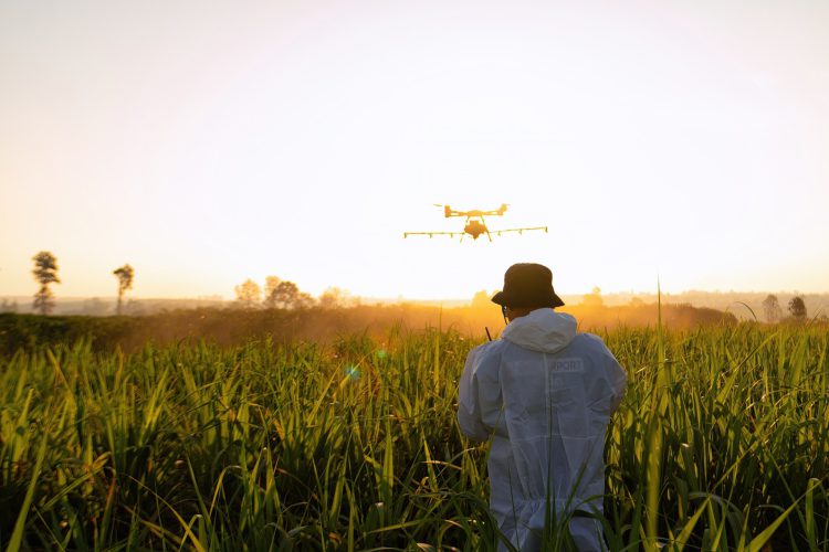 As vantagens do uso de drones no agronegócio